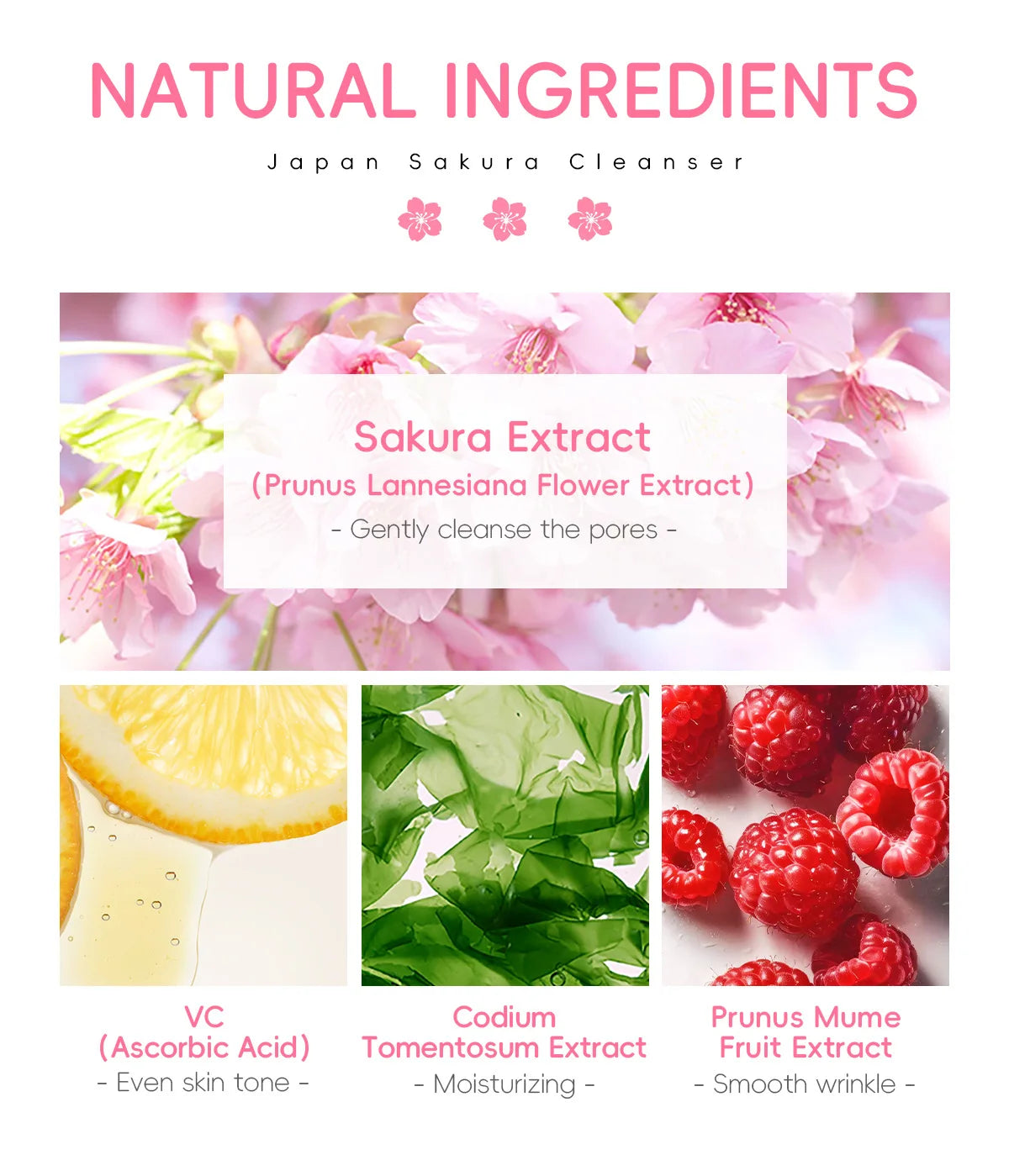 LAIKOU Sakura Cleanser