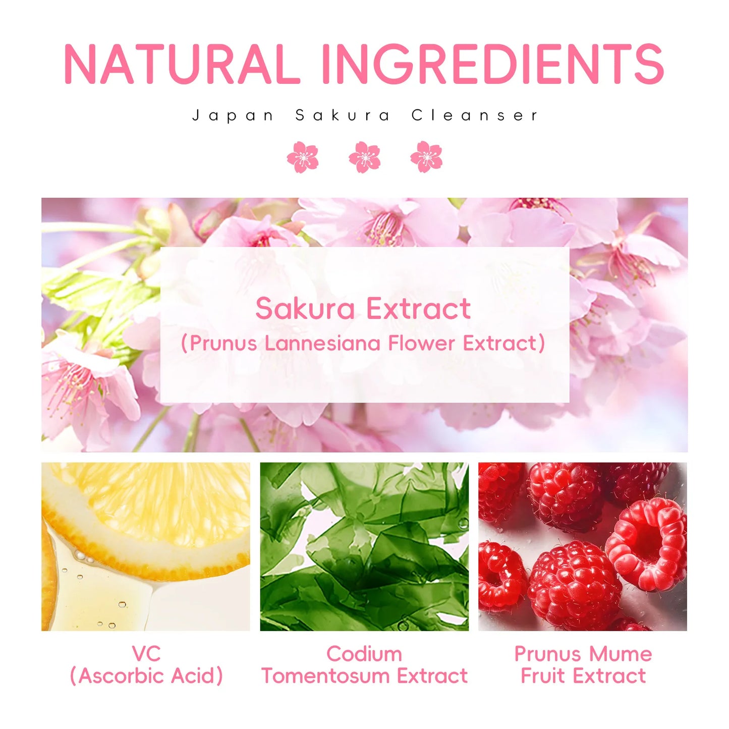 LAIKOU Sakura Cleanser